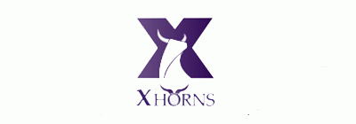 XHorns-外汇交易平台